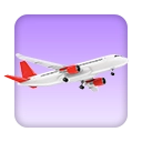 Porduct Category Flight Bookings
